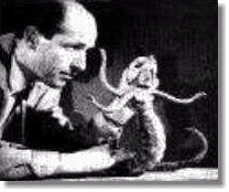 Ray Harryhausen Image