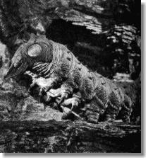 First Men In The Moon